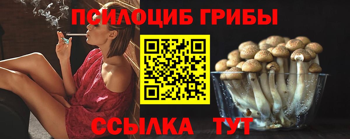 Псилоцибиновые грибы MAGIC MUSHROOMS  Вход с VPN  Саранск  Галлюциногенные грибы Psilocybine cubensis 